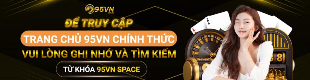 95VN 1 banner 95vn