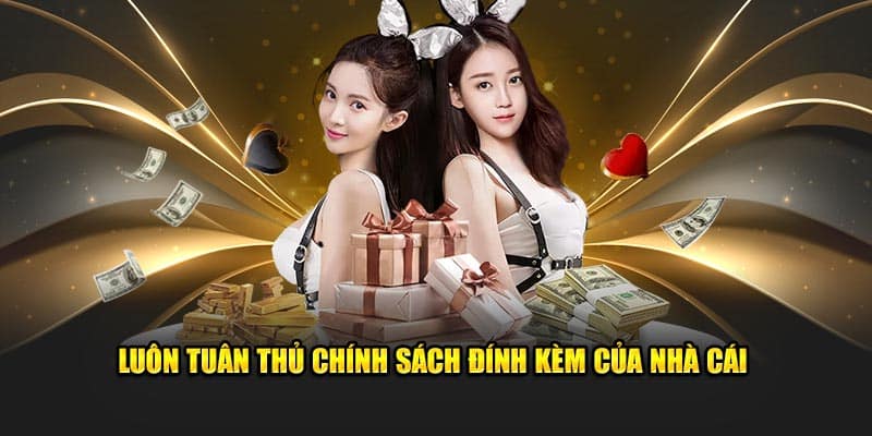 Đăng Ký 95VN - Chìa Khóa Mở Ra Thế Giới Giải Trí Đỉnh Cao 2 Luôn tuân thủ chính sách đính kèm của nhà cái